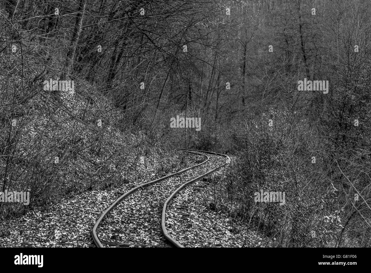 alte verlassene freundlicher Straße im Wald Stockfoto
