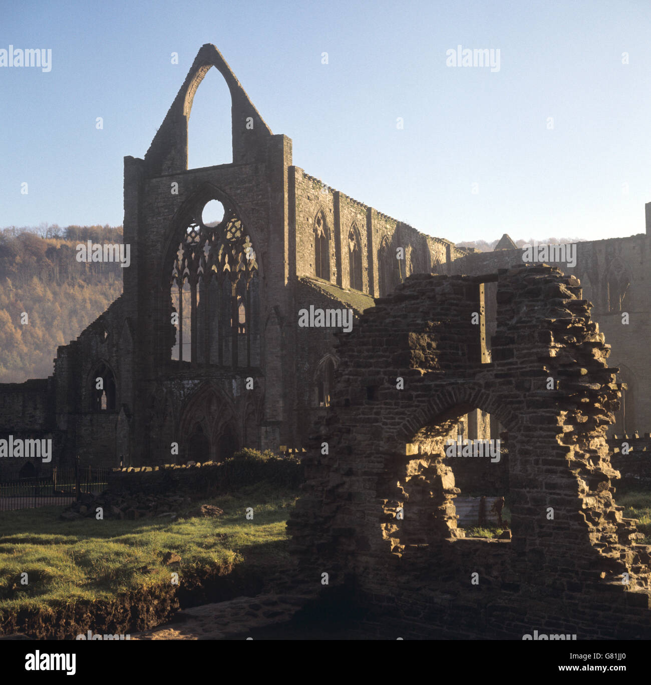 Gebäude und Wahrzeichen - Tintern Abbey - Monmouthshire Stockfoto