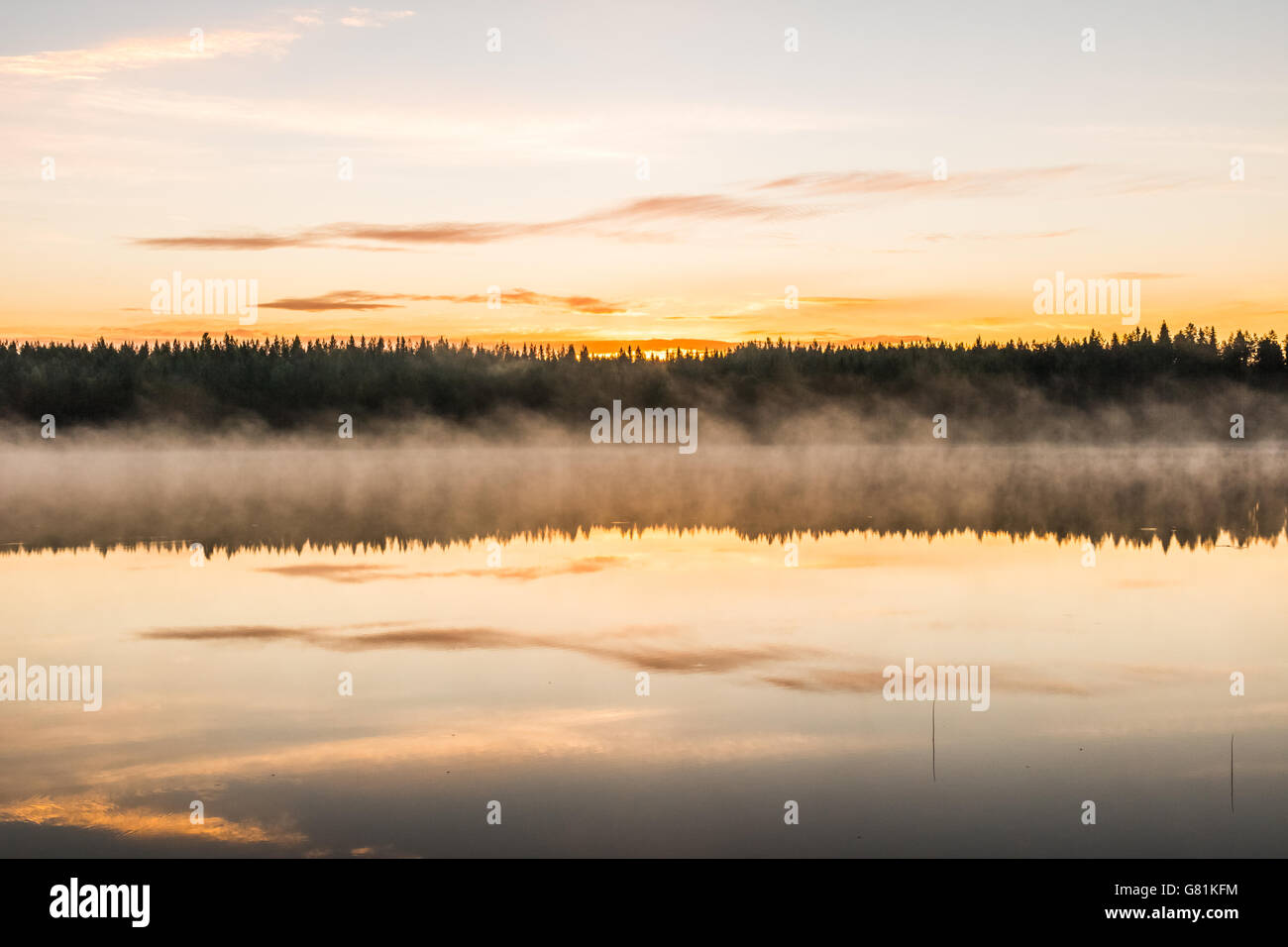 Morgen-Moment am See Kirchendorf, Kuhmo, Finnland Stockfoto