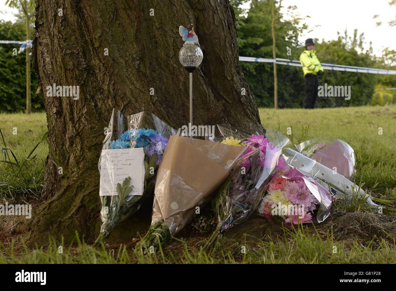 Amber Peat Tod Stockfoto