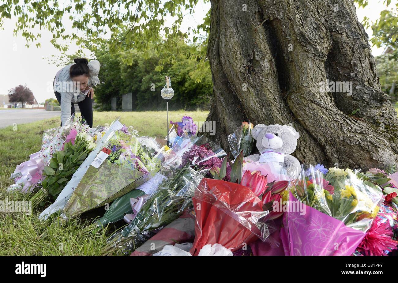 Amber Peat Tod Stockfoto