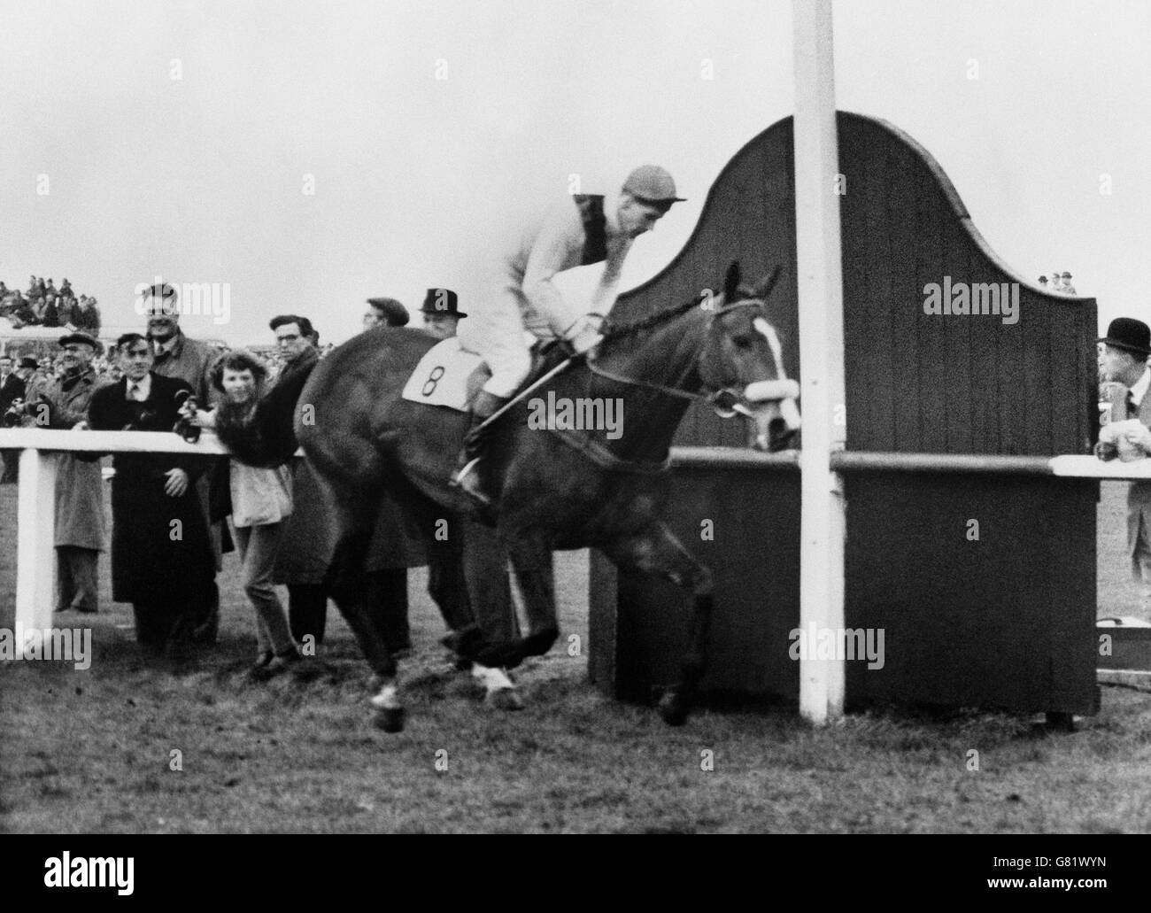 Pferderennen - 1960 Grand National - Merryman II - Aintree. Merryman II, geritten von Gerry Scott, übersteht den Posten und gewinnt die Grand National Steeplechase in Aintree, Liverpool. Stockfoto
