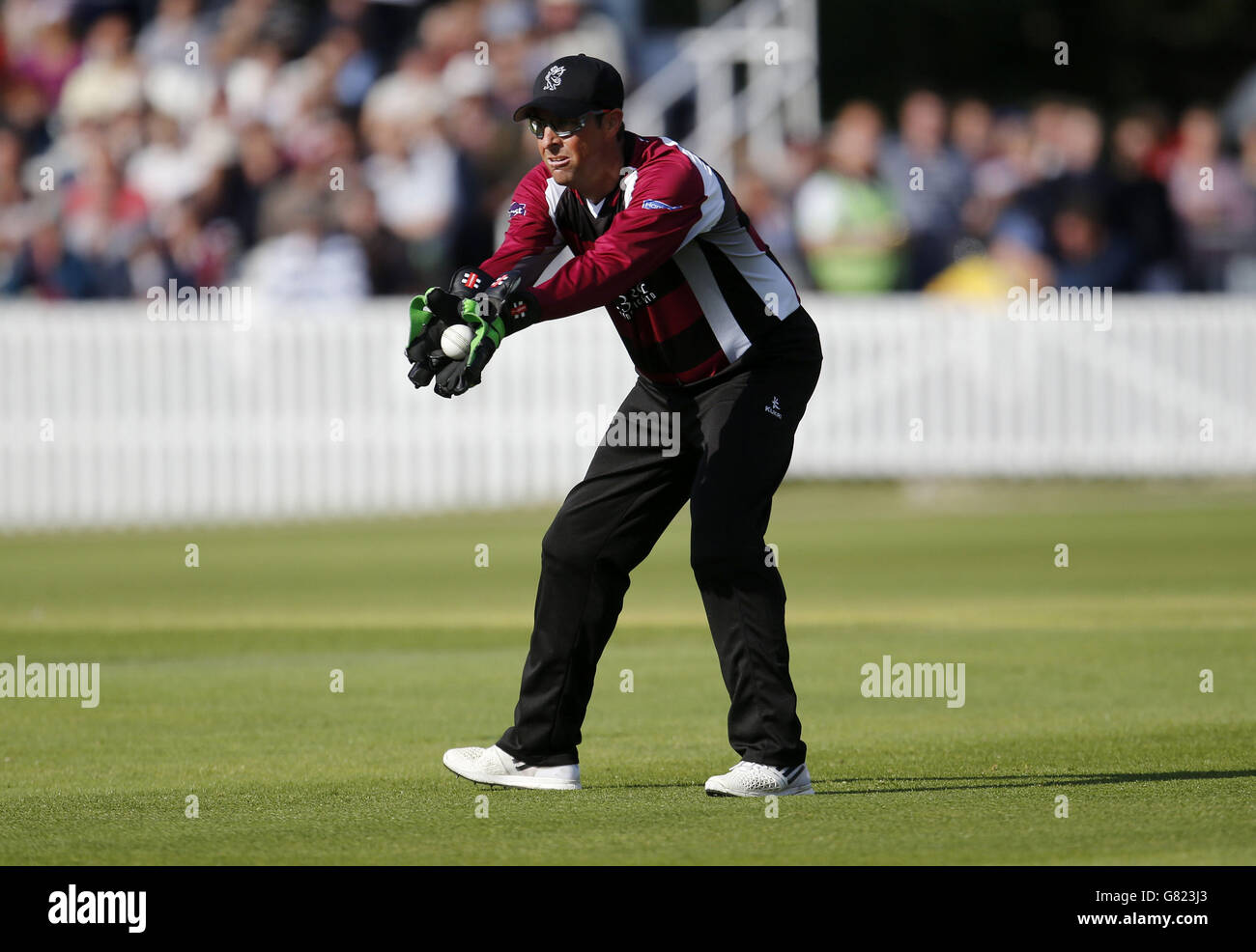 Cricket - T20 Blast - Southern Division - Somerset / Hampshire Royals - County Ground. Somerset's Marcus Trescodick beim Spiel T20 Blast, Southern Division auf dem County Ground, Taunton. Stockfoto