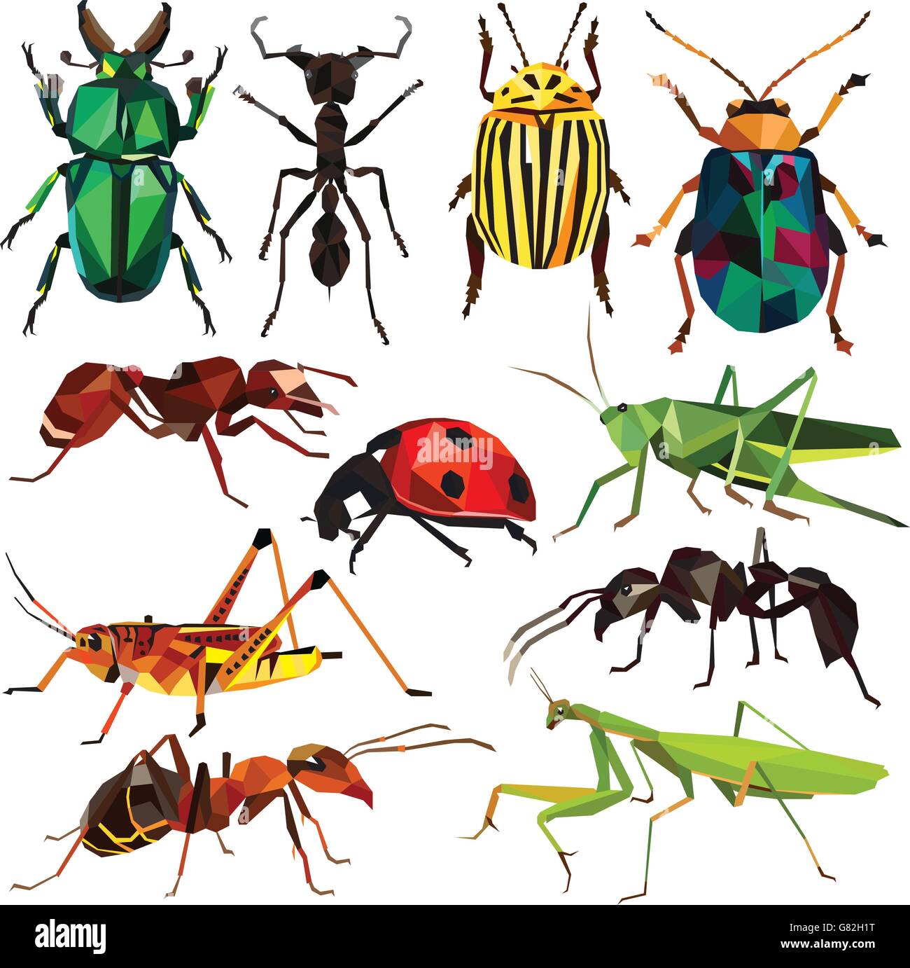 Insekten setzen bunte low-Poly Wanze, Käfer und Ameise Entwürfe isoliert auf weißem Hintergrund. Vektor-Insekten-Illustration. Stock Vektor