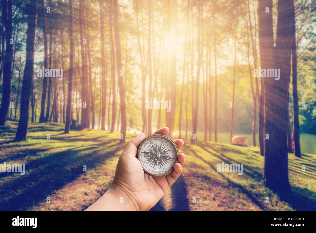 Hand-Mann, der Kompass im Lärchenwald mit Sonnenlicht und Schatten bei Sonnenaufgang mit Vintage-Szene hält. Stockfoto