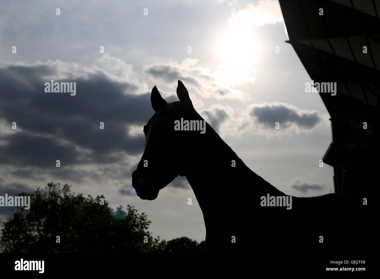 Eine allgemeine Ansicht der Frankel Statue am ersten Tag des Royal Ascot Meetings 2015 auf der Ascot Racecourse, Berkshire. DRÜCKEN SIE VERBANDSFOTO. Bilddatum: Dienstag, 16. Juni 2015. Siehe PA Story RACING Ascot. Bildnachweis sollte lauten: Steve Parsons/PA Wire. Stockfoto