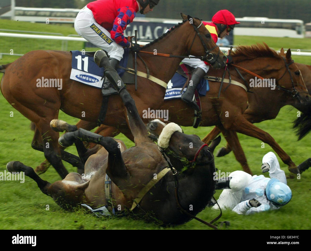 Far Pavilions fällt mit Jockey Jim Crowley in der Samsung Scottish Champion Hürde. Stockfoto