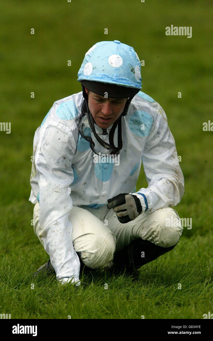 Pferderennen Sie - schottischen Champion Hurdle - Ayr Racecourse Stockfoto