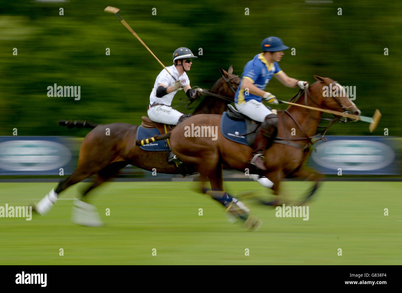 Britische Polo Tag GB Stockfoto