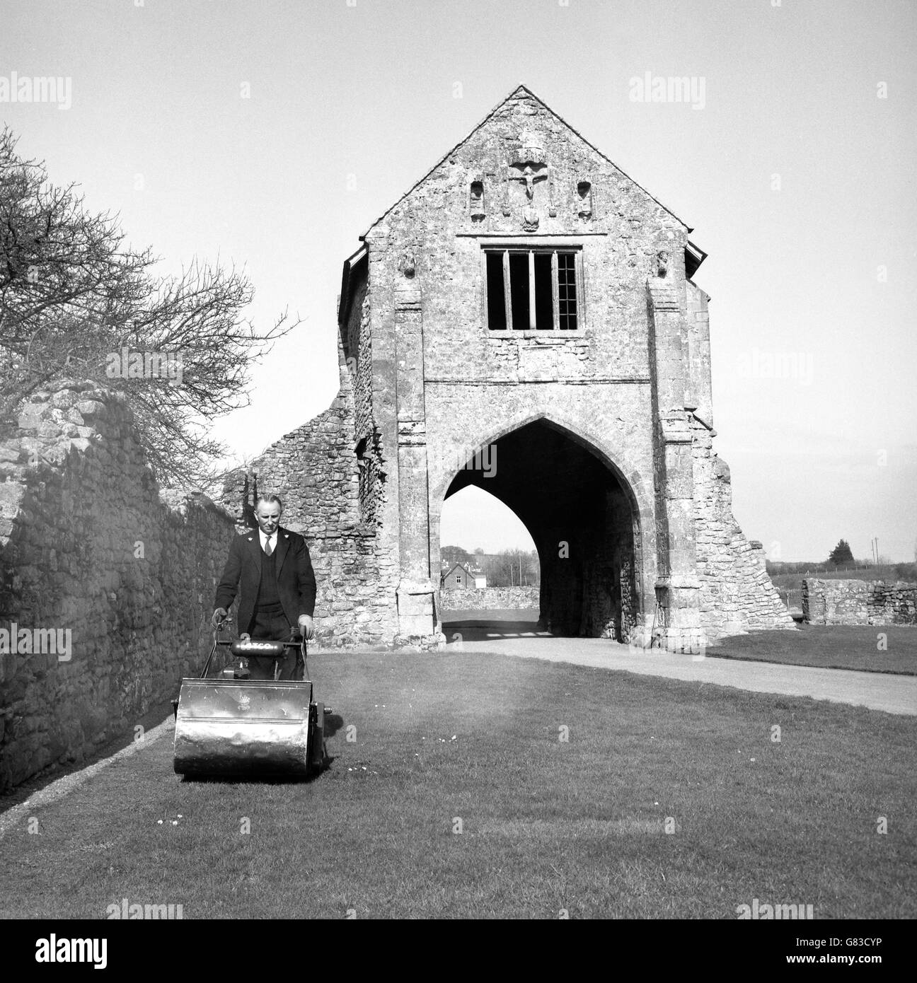 Ein Mitarbeiter des Ministeriums für Öffentliche Gebäude und Arbeiten mäht das Gras in Cleeve Abbey, Nord Somerset, in Vorbereitung für die Sommer-Invasion von Tausenden von Besuchern. Die Zisterzienserabtei wurde 1188 von William, Earl of Roumare, gegründet. Stockfoto