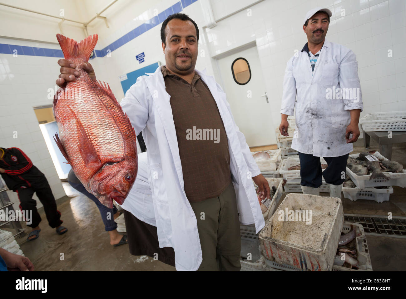 Arbeiter kaufen und verkaufen frische Meeresfrüchte und Fisch auf einer Auktion in Tifnit, in der Nähe von Agadir in Marokko. Stockfoto