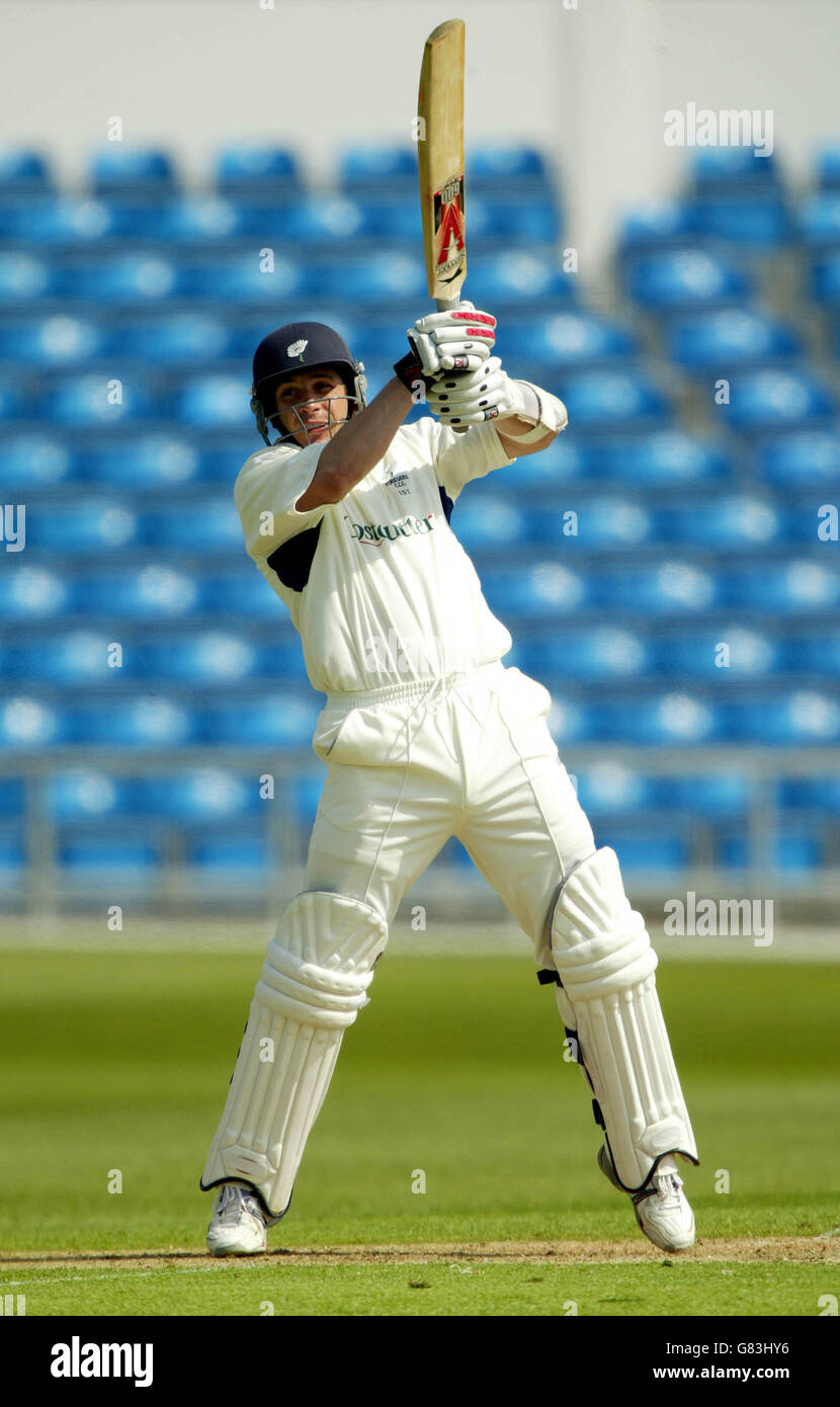 Cricket - Frizzell County Championship - Division Two - Yorkshire V Somerset - Headingley Stockfoto