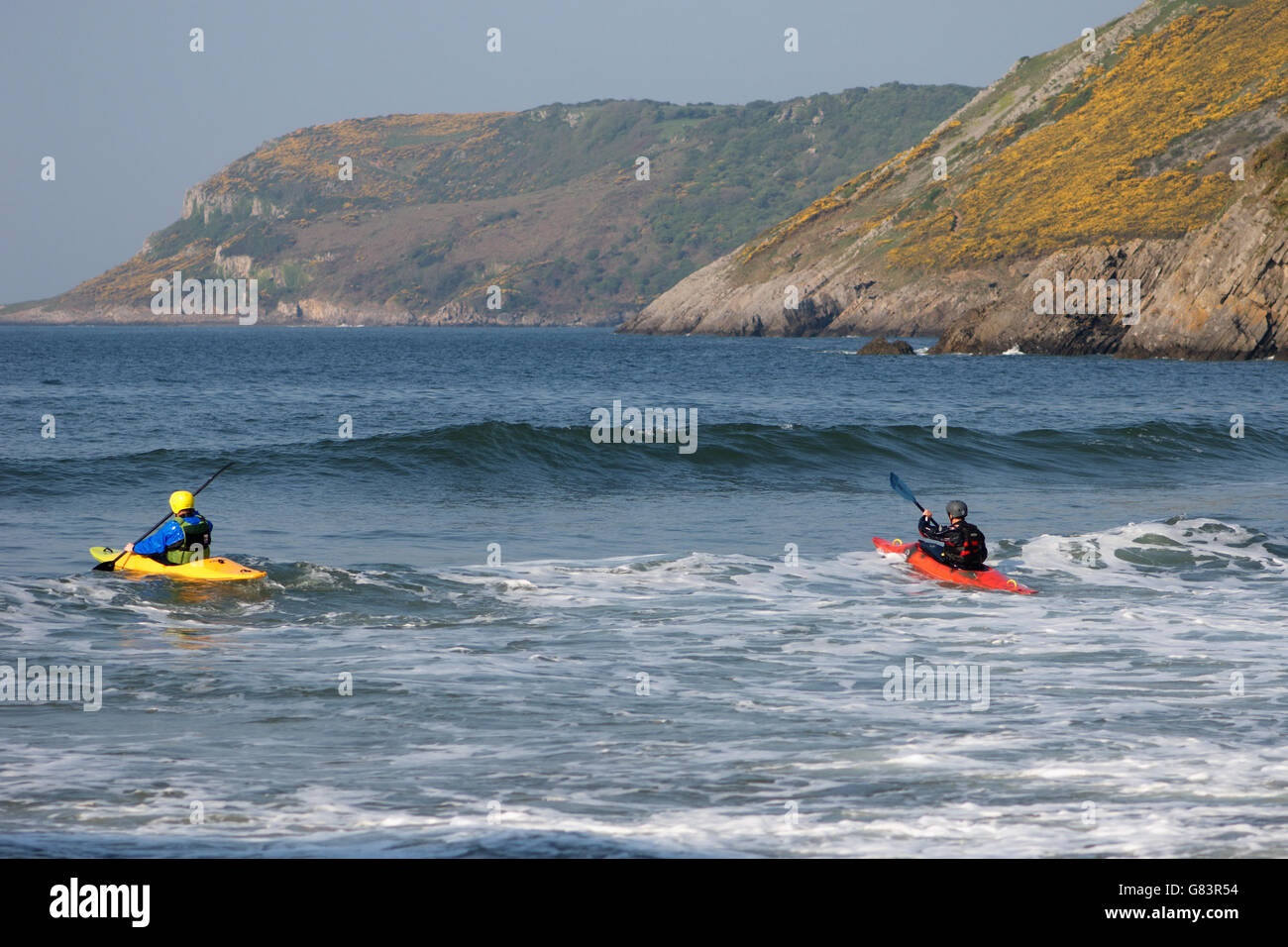 Kanuten paddeln Sie durch die blauen Wellen am Strand geschützt mit gelben Ginster bedeckt Hügel auf Gower, Wales, UK Stockfoto