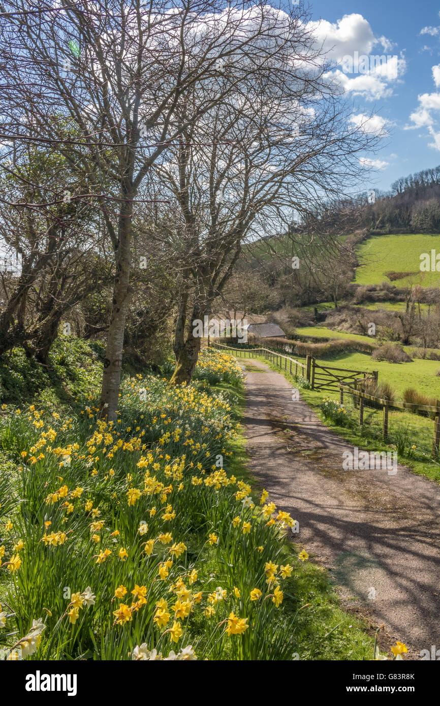 England Devon Branscombe schöne Frühlings-Szene in diesem malerischen Dorf Adrian Baker Stockfoto