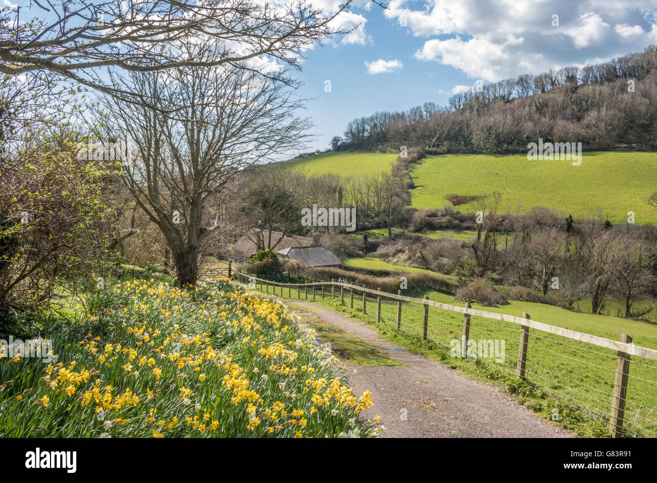 England Devon Branscombe schöne Frühlings-Szene in diesem malerischen Dorf Adrian Baker Stockfoto
