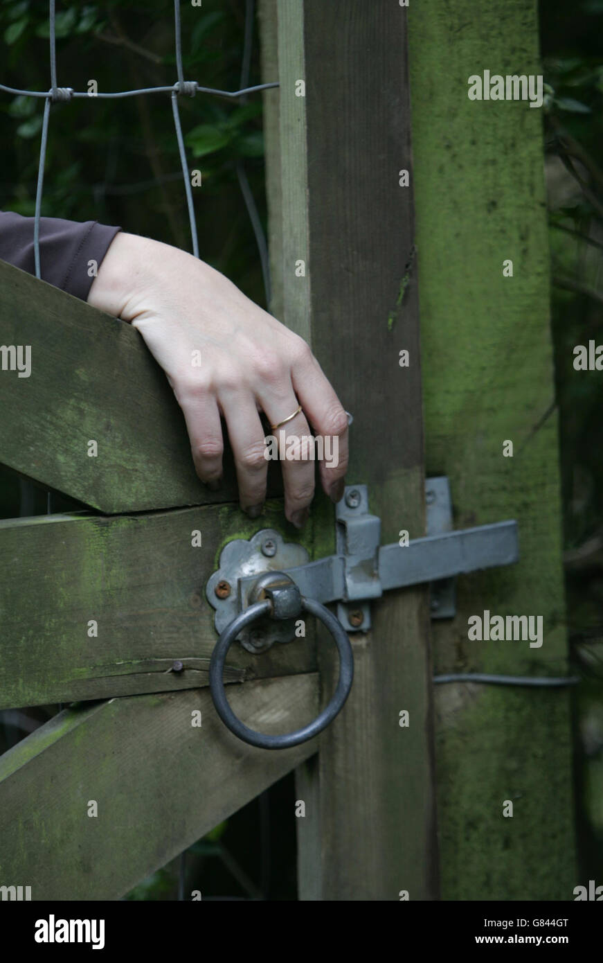 Abigail Witchalls stechen Stockfoto