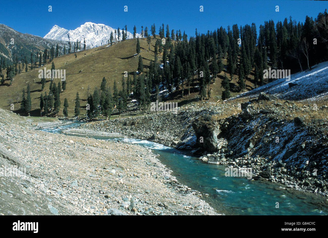 Sonmarg Tal und Sindh Fluß, Kaschmir, Indien Stockfoto