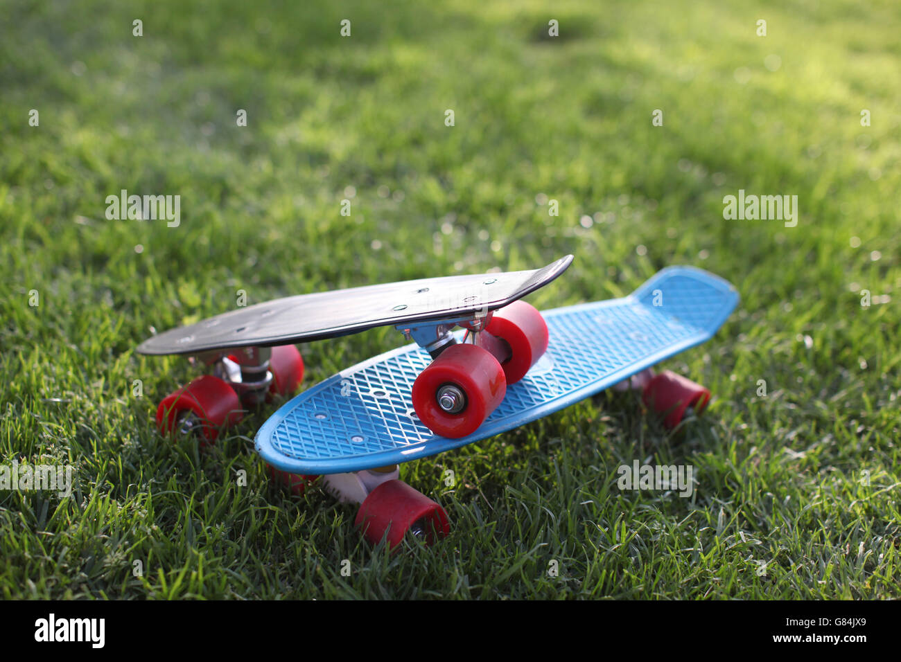 Zwei Skateboards auf Rasen Stockfoto