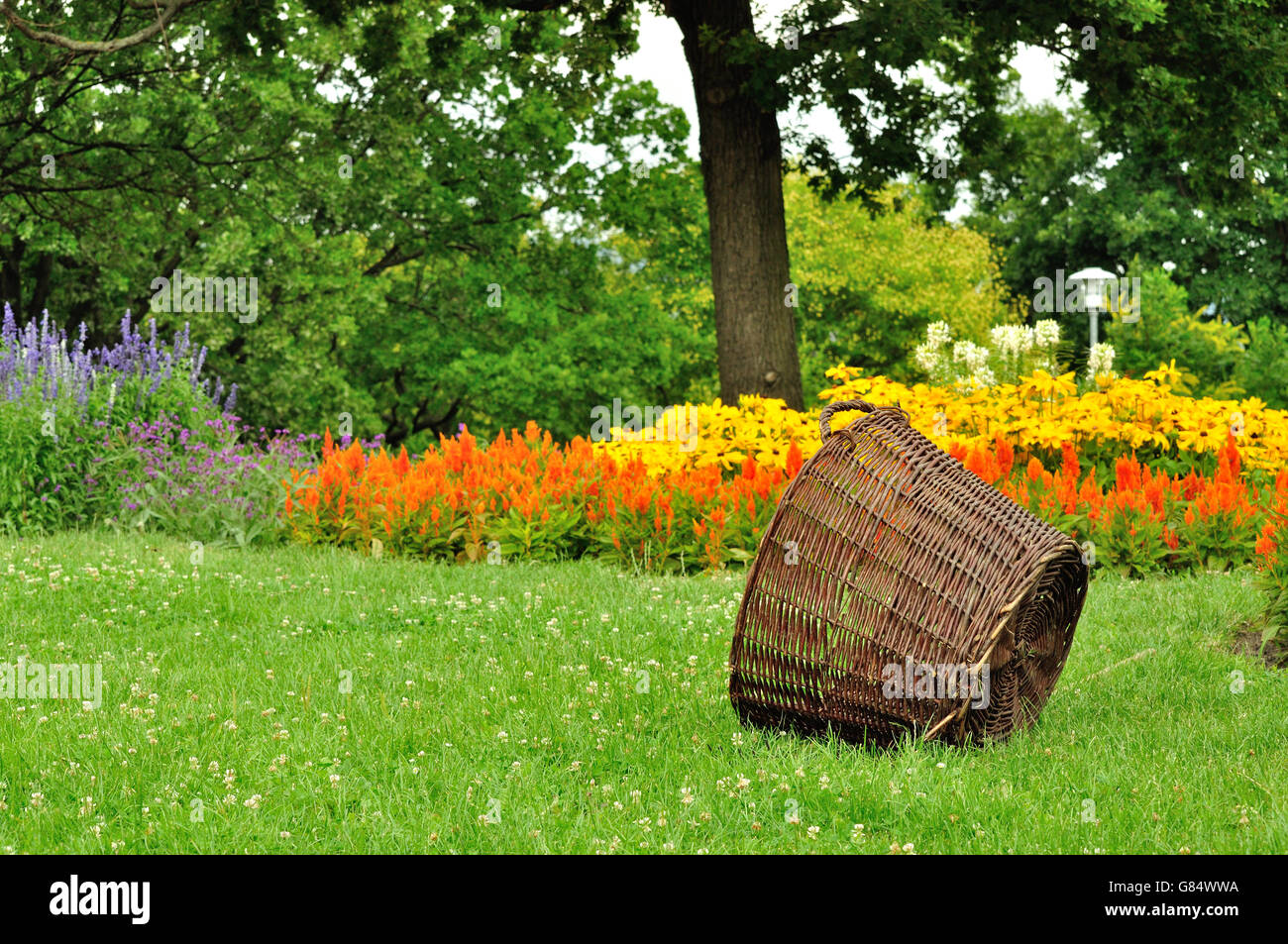 Geflochtenen Korb liegend auf dem Rasen in einem Blumengarten mit gelben, violetten und roten Blumen Stockfoto