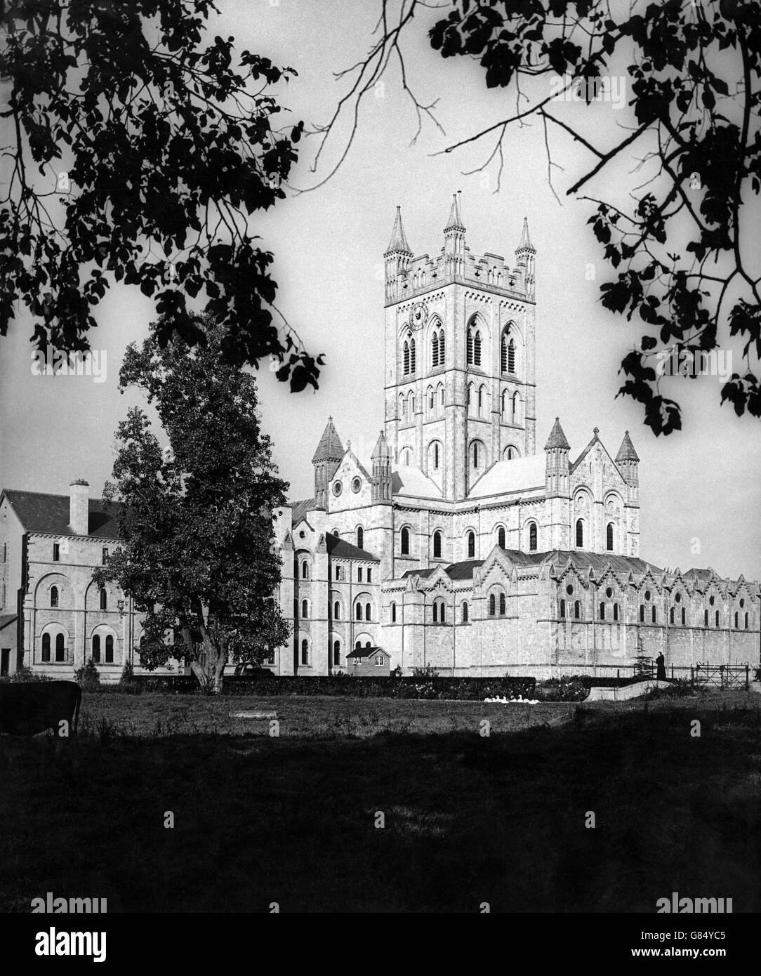 Buckfast Abbey, Teil eines aktiven Benediktinerklosters in Buckfast, in der Nähe von Buckfastleigh, Devon, England. Stockfoto