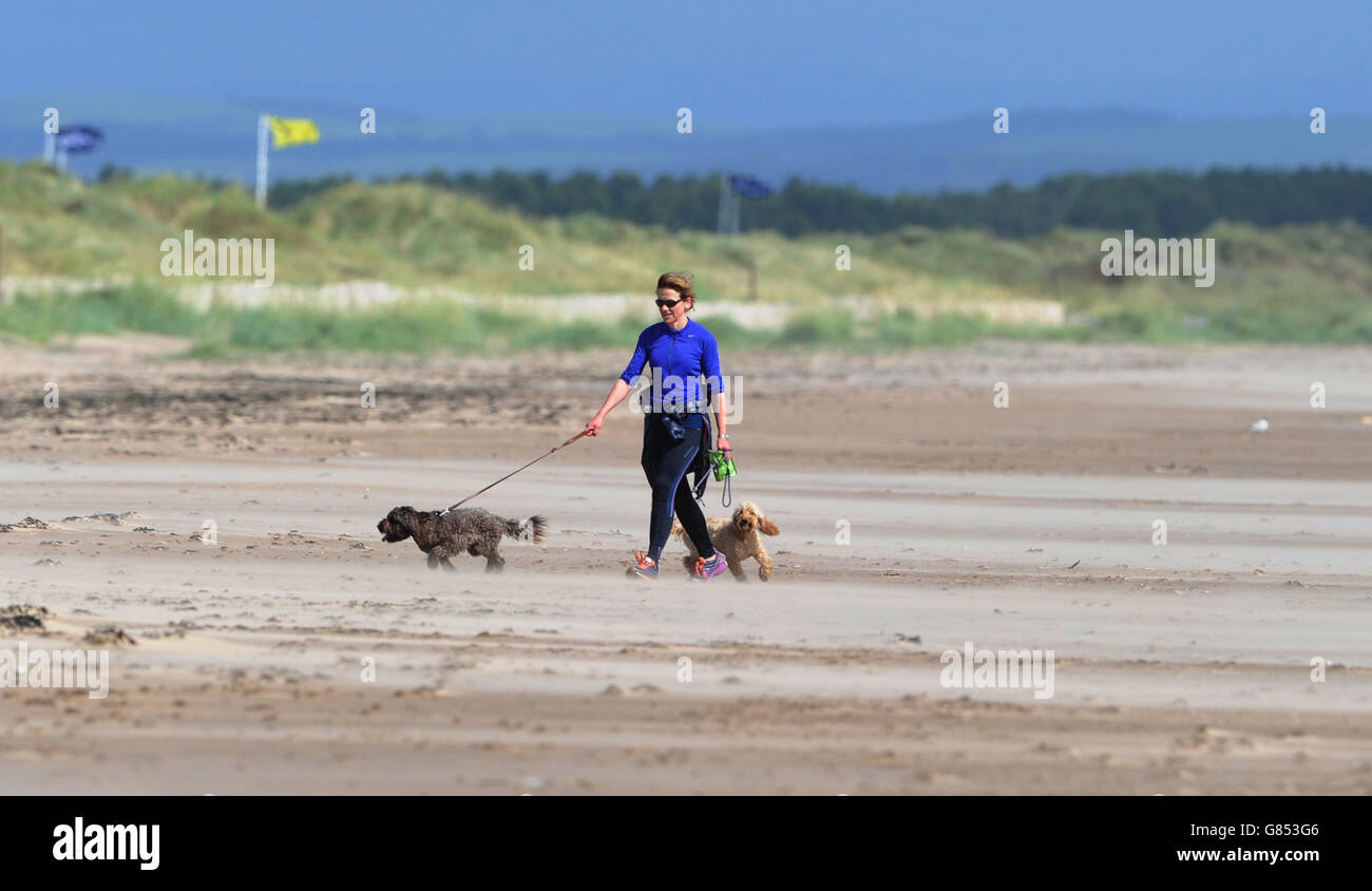 Eine Frau geht mit ihren Hunden am Strand neben St Andrews, während an Tag drei der Open Championship 2015 in St Andrews, Fife, während der Pressekonferenz zu den Olympischen Spielen die starken Winde das Spiel unterbrechen. Stockfoto