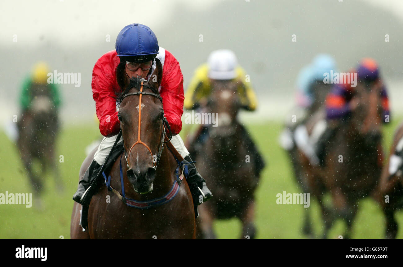 Pferderennen - King George Wochenende - Tag 1 - Ascot Rennbahn. Einsätze am ersten Tag des King George-Wochenendes auf der Ascot Racecourse. Stockfoto