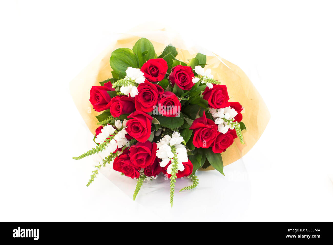 Strauß roter Rosen, Isolated on White. Stockfoto