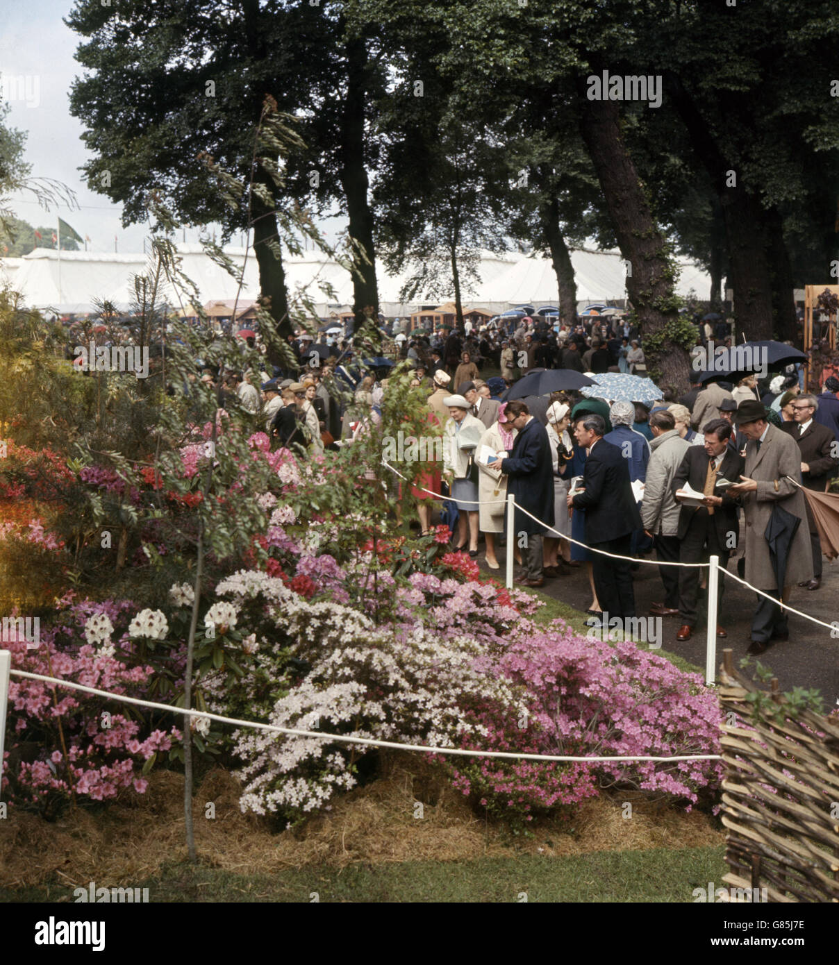 Trotz des Regens trotzen die Besucher dem Wetter, um die Blüten der Chelsea Flower Show zu bewundern, die auf dem Gelände des Royal Hospital, Chelsea, London, stattfindet. Stockfoto