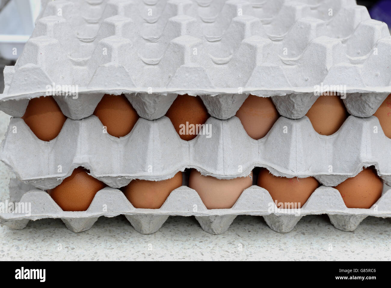 Nahaufnahme von braunen Eiern auf einem Karton Tablett auf Küchenbank Stockfoto
