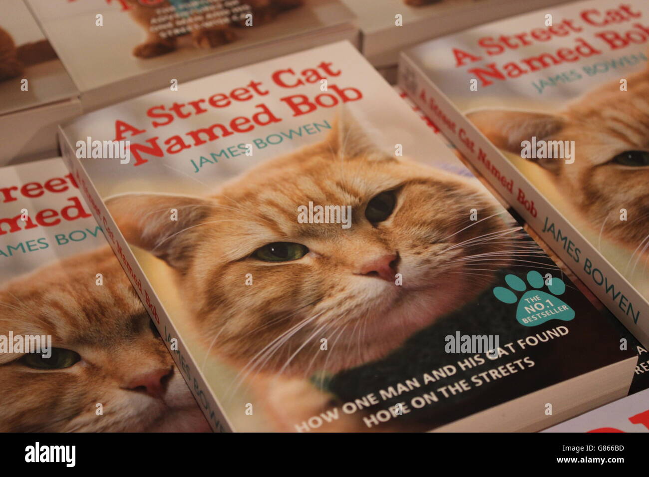 Die Katze Und Der James Bowen Buch Ein Geschenk Von Bob Bob Stockfotografie Alamy