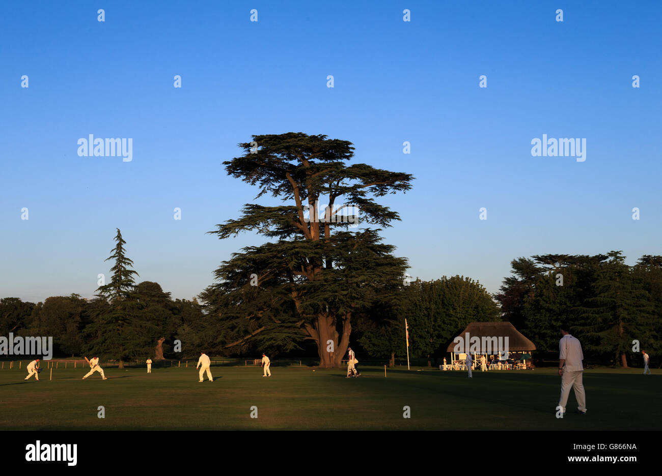 Eine allgemeine Ansicht der Aktion als Mitarbeiter aus dem Goodwood Estate nehmen auf einer lokalen Seite Stockfoto