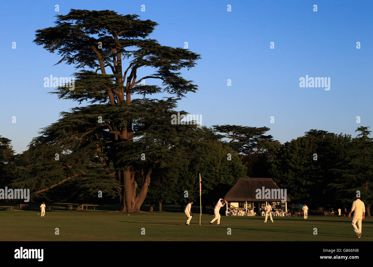 Eine allgemeine Ansicht der Aktion als Mitarbeiter aus dem Goodwood Estate nehmen auf einer lokalen Seite Stockfoto