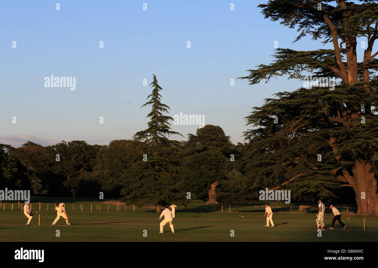 Eine allgemeine Ansicht der Aktion als Mitarbeiter aus dem Goodwood Estate nehmen auf einer lokalen Seite Stockfoto