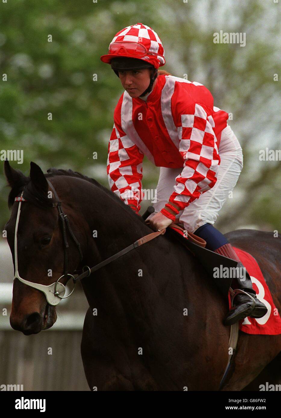 Newmarket Races. K. Darley über Schwellenländer Stockfoto