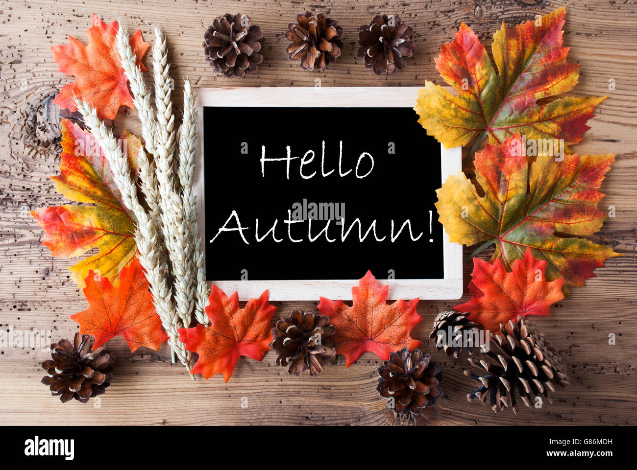 Tafel mit Herbst Dekoration, Hallo Herbst Stockfoto