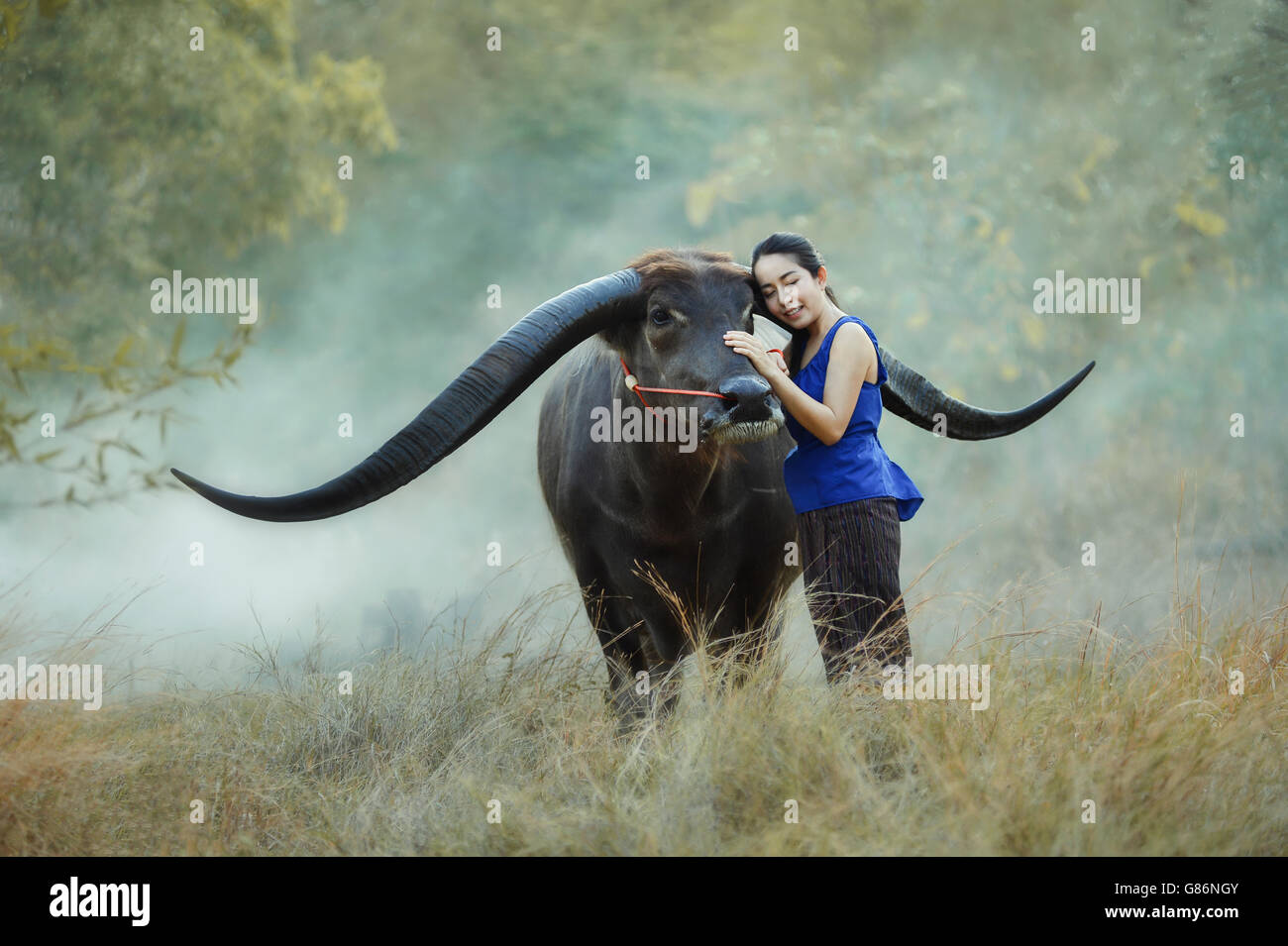 Frau streicheln Büffel, Thailand Stockfoto