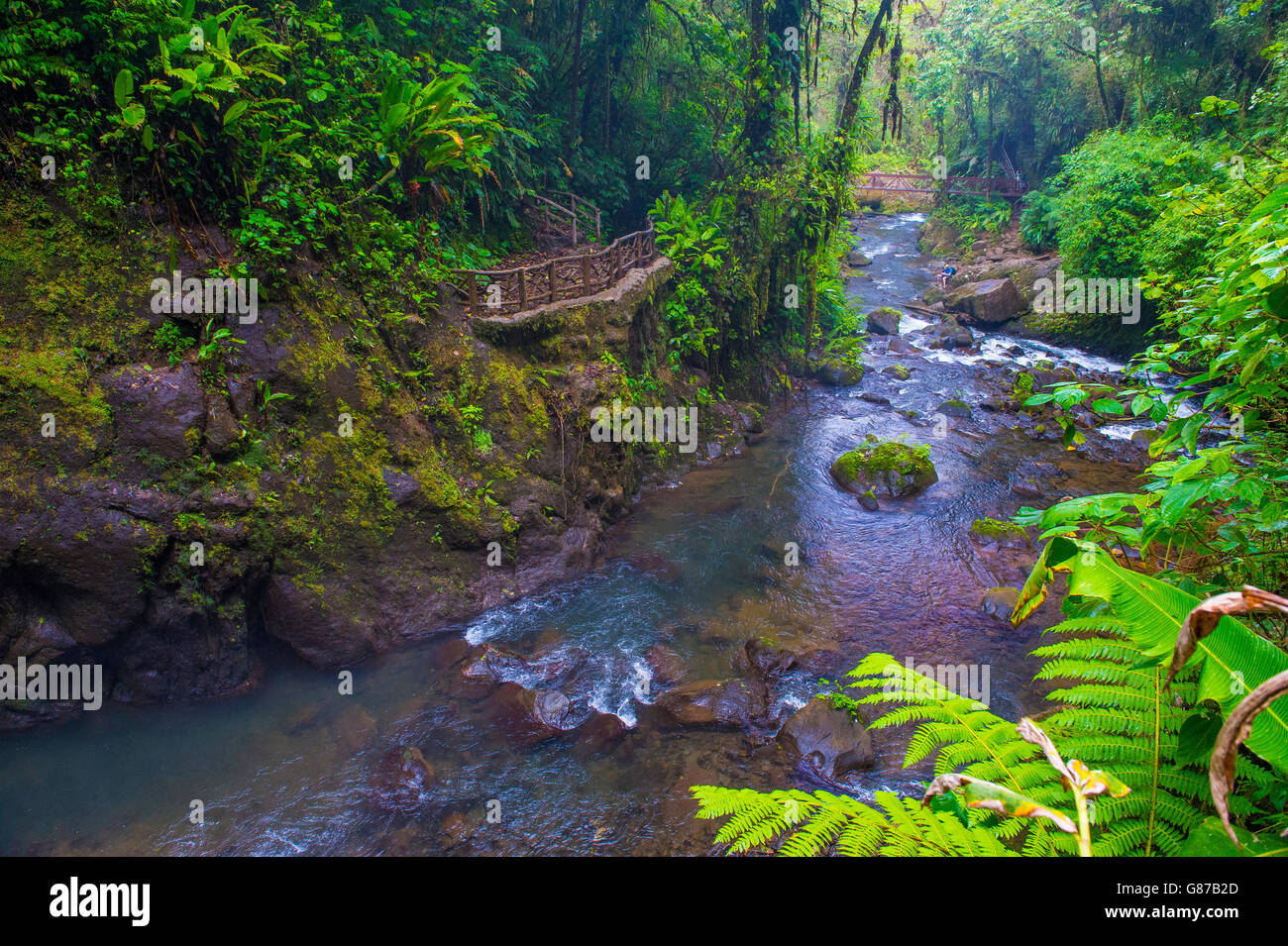 Stream-Objekt an einen tropischen Regenwald in Costa Rica in La Paz Wasserfall Gärten Stockfoto