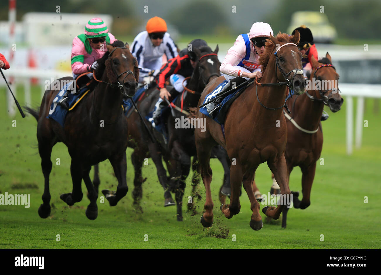 Horse Racing - 2015 Ladbrokes St Leger Festival - Tag eins - Doncaster-Rennen Stockfoto