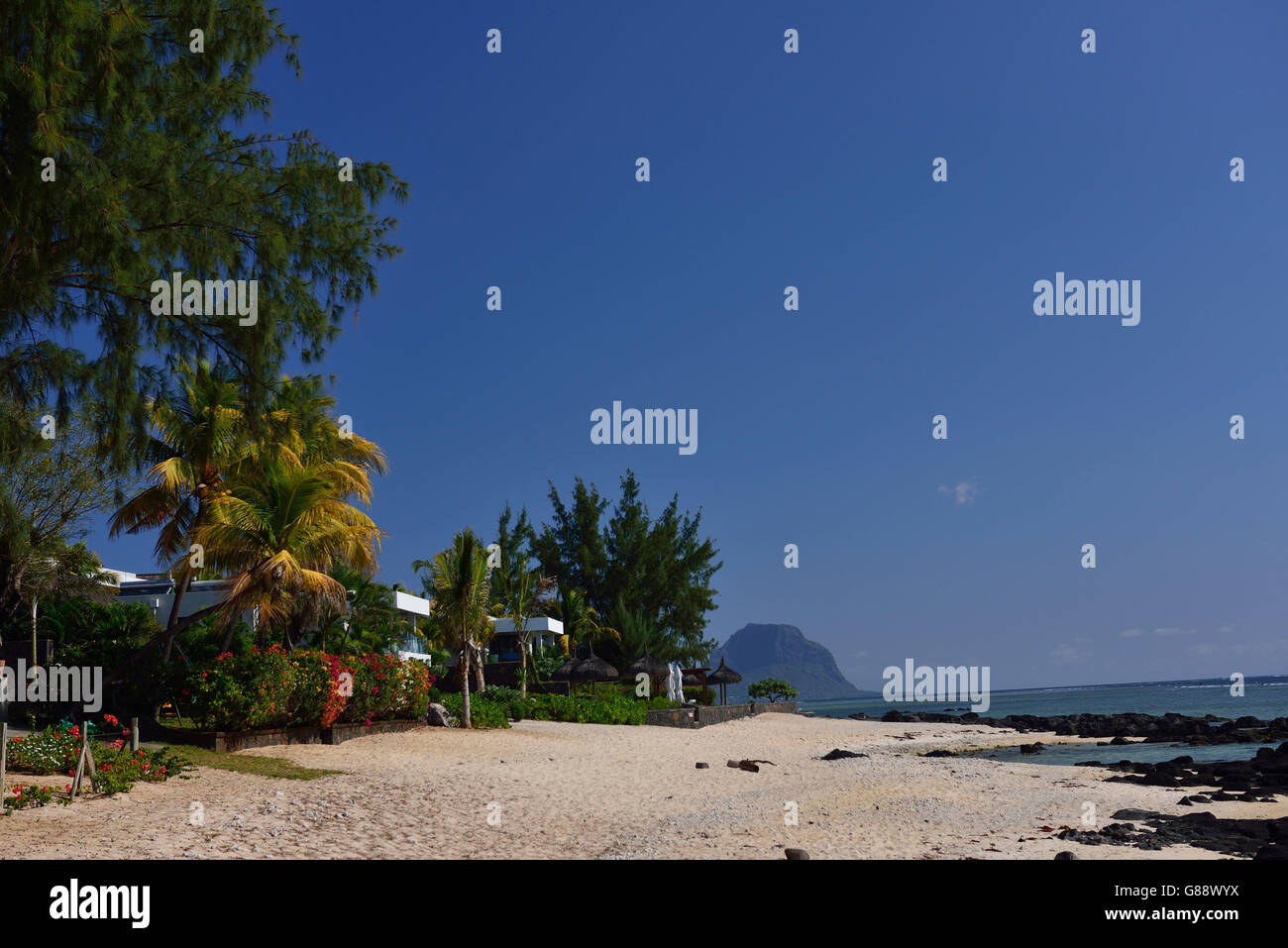 Strand von Tamarin, Mauritius Stockfoto