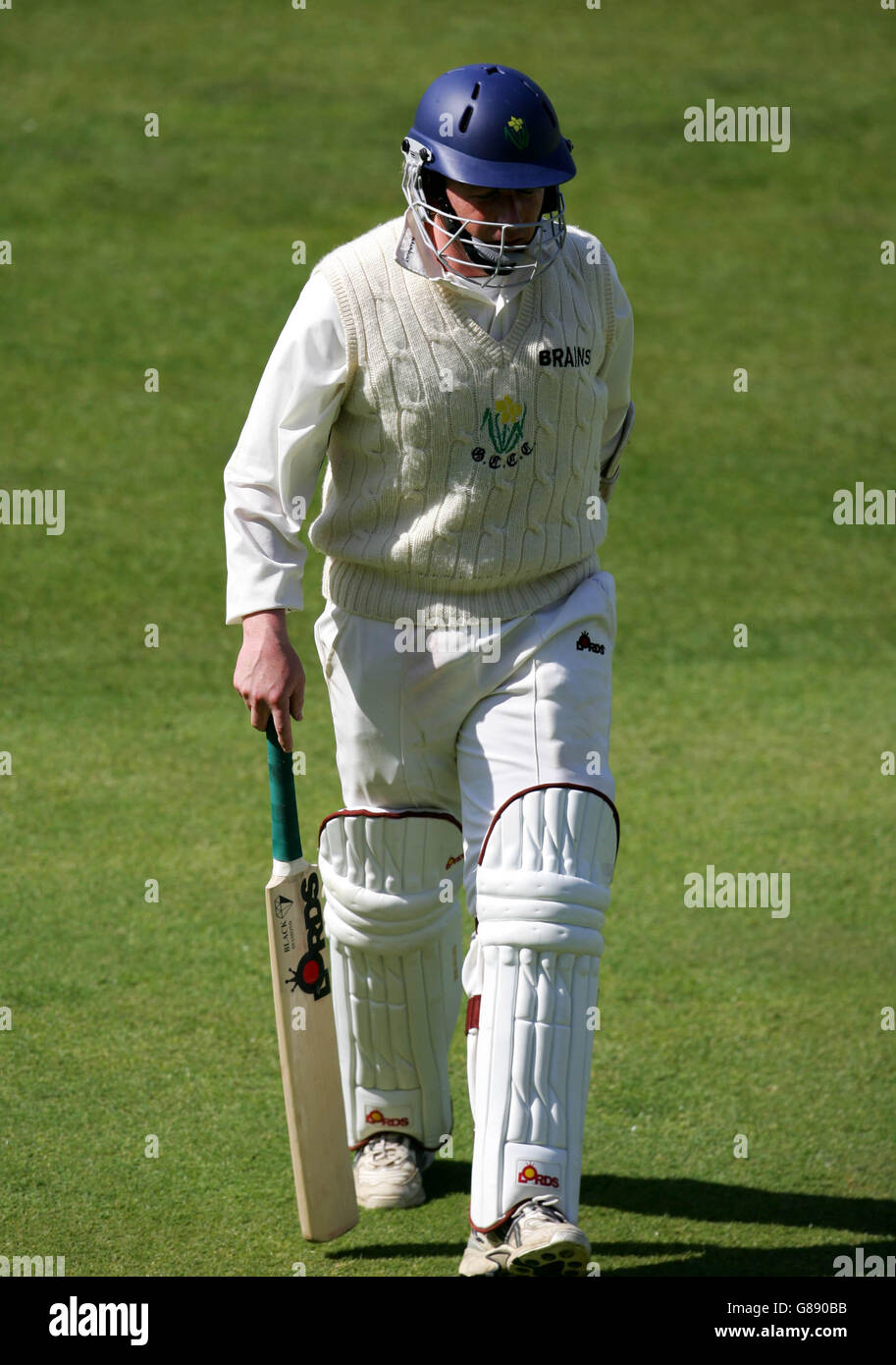 Cricket - Frizzell County Championship - Division One - Surrey V Glamorgan - The Brit Oval. Robert Croft von Glamorgan kehrt nach 27 Läufen zum Pavillion zurück Stockfoto