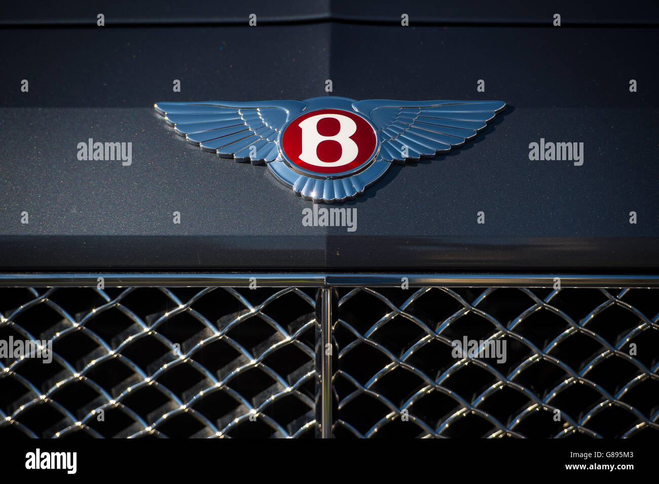 Fahrzeugbestand. Gesamtansicht eines Bentley-Logos auf einem Bentley Flying Spur. Stockfoto