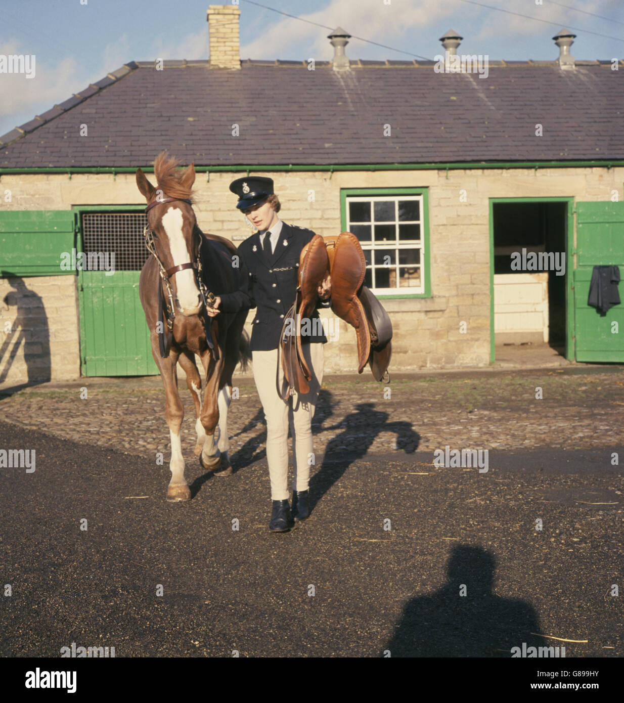Tiere - Rita Browning - montiert Polizei - Harperley Hall, County Durham Stockfoto