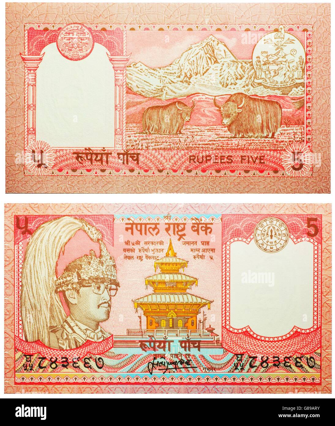 Banknote 5 Rupien Nepal Vorder- und Rückseite isoliert auf weiss am 1987 ausgestrahlt. König Birendra Bir Bikram tragen gefiederten Krone auf der linken Seite, Stockfoto