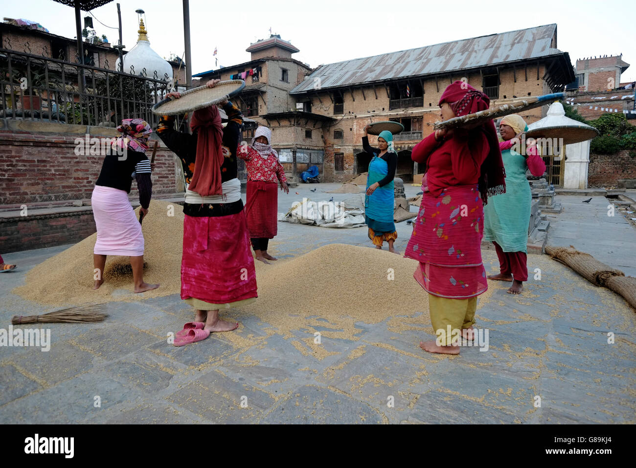 Nepalesische Frauen Dreschen von Getreide in der traditionellen Art und Weise in den Innenhof des Rato Machhendranath Tempel im Dorf Bungamati ein traditionelles Newar Stadt in Nepal Stockfoto