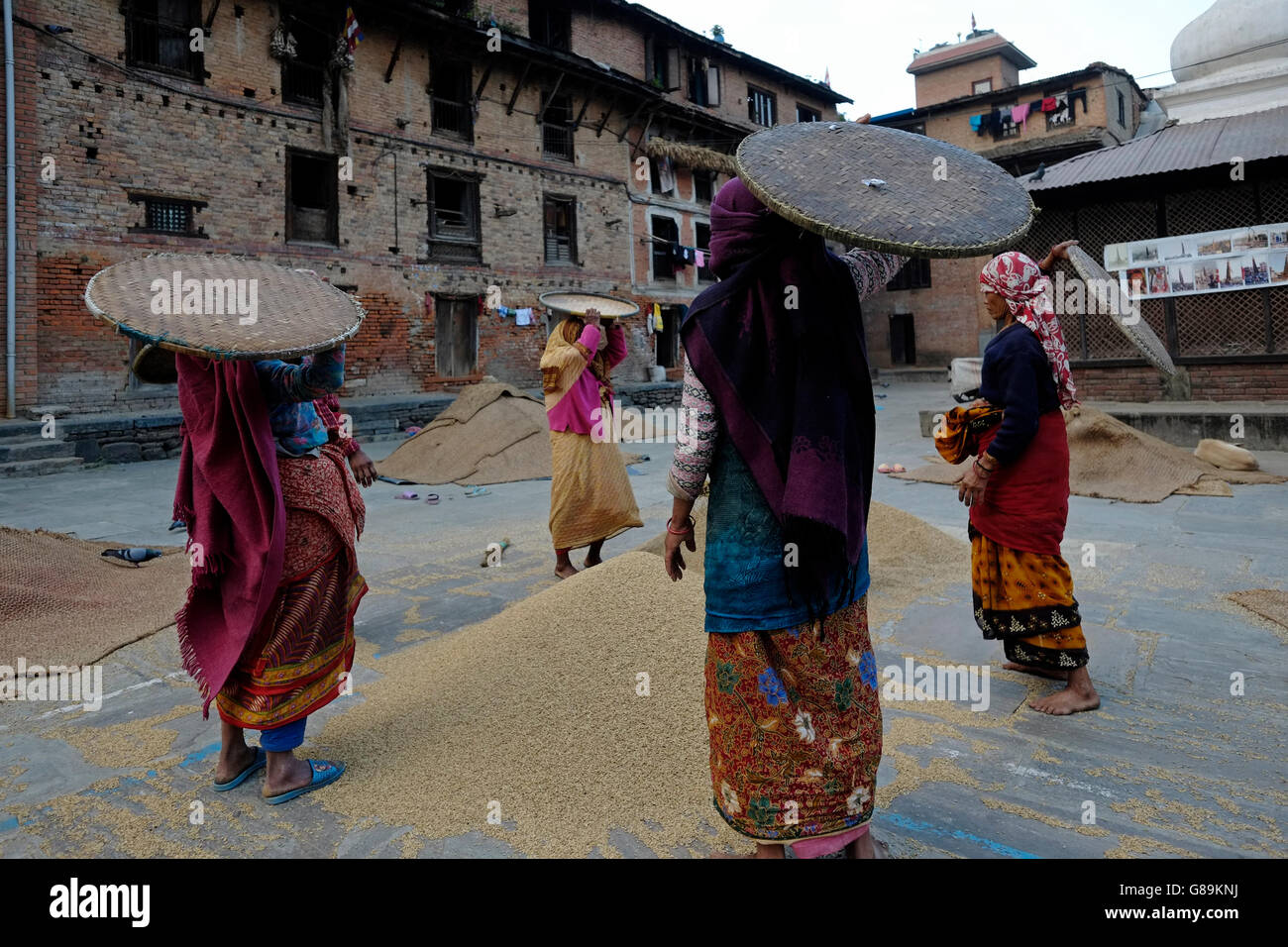 Nepalesische Frauen Dreschen von Getreide in der traditionellen Art und Weise in den Innenhof des Rato Machhendranath Tempel im Dorf Bungamati ein traditionelles Newar Stadt in Nepal Stockfoto