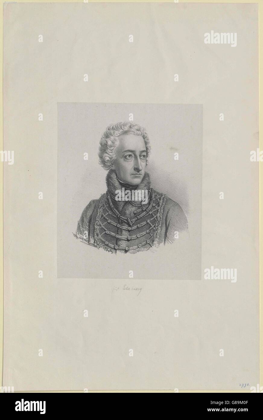 Esterhazy of galantha Fotos und Bildmaterial in hoher Auflösung Alamy