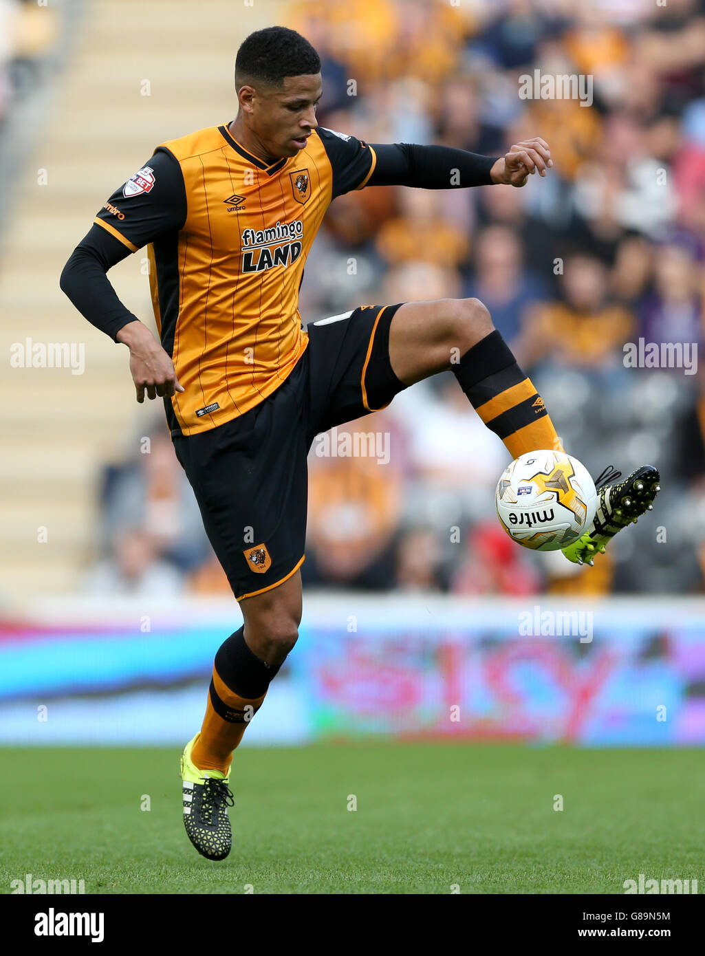 Fußball - Sky Bet Championship - Hull City gegen Blackburn Rovers - KC Stadium. Curtis Davies von Hull City Stockfoto