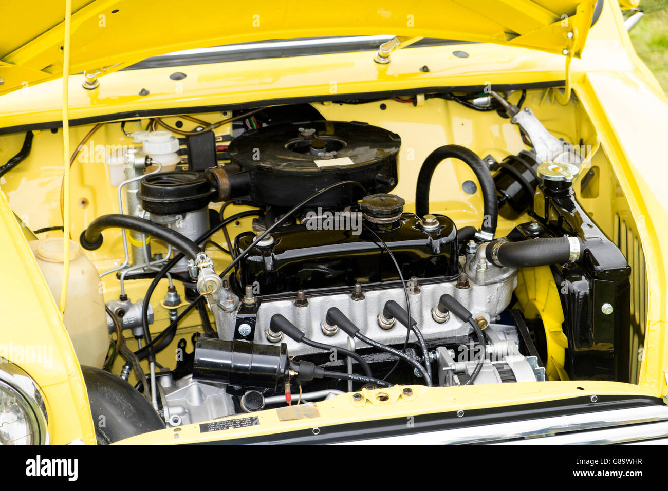 Berkeley Schloss Classic Car Show 2016 Austin Mini Motor Stockfoto