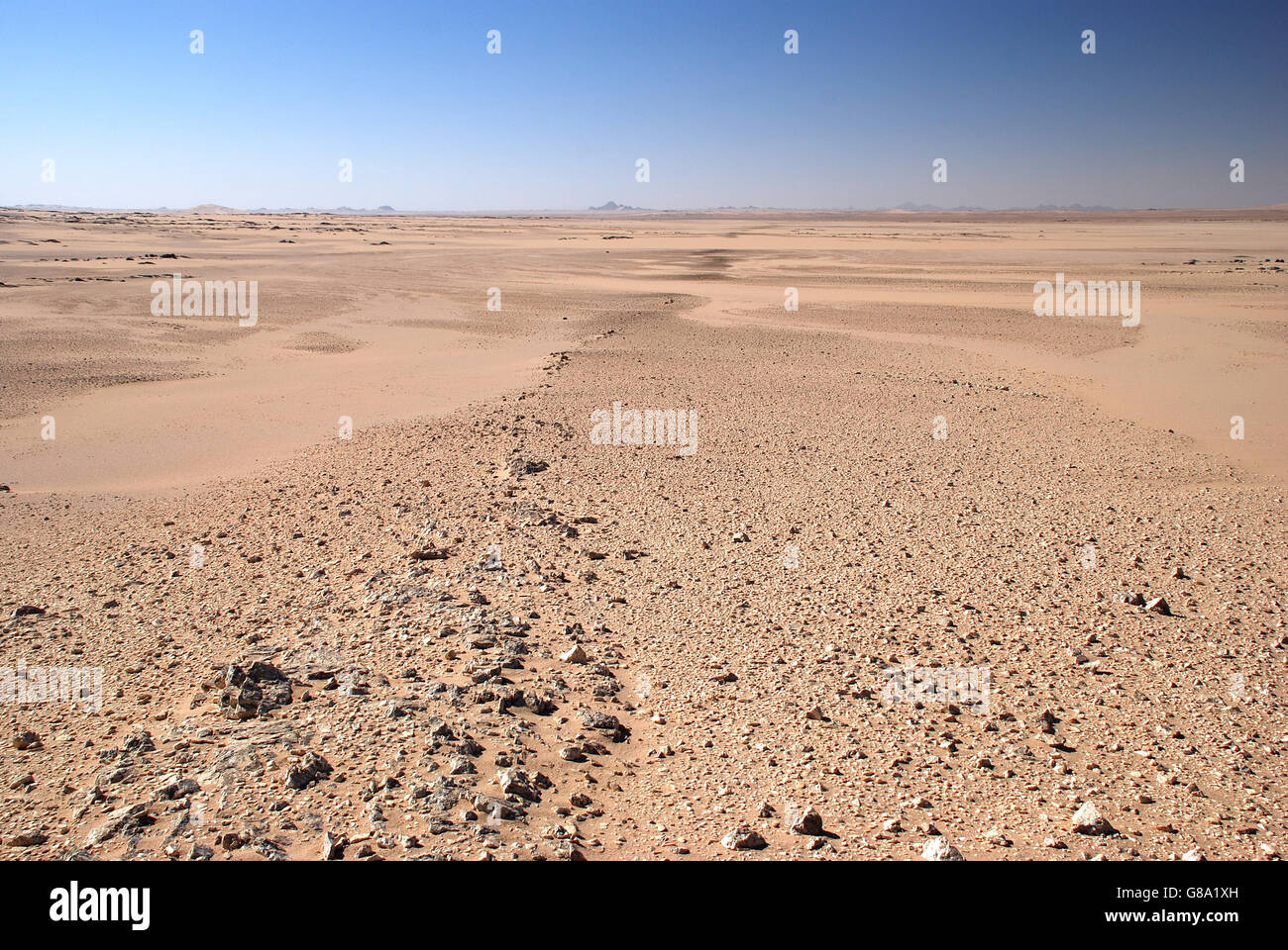 Wüste, Algerien, leer, isoliert, schlicht, Felsen, Steinen Stockfoto