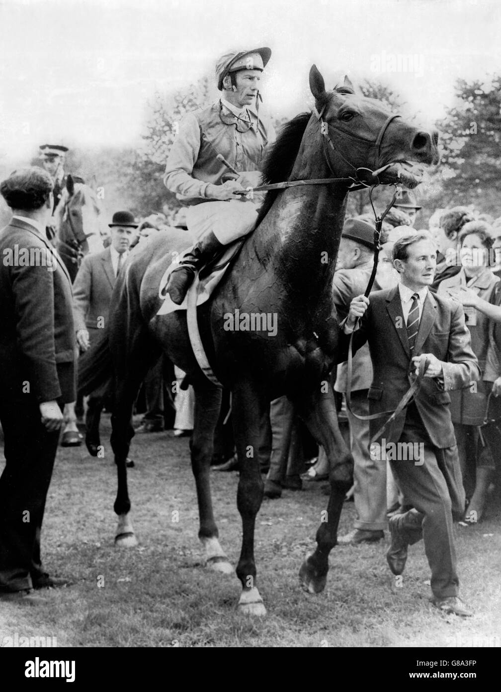 Nijinsky, Lester Piggott, wird nach dem Sieg im St. Leger angeführt Stockfoto